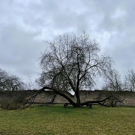 Delux Ferienwohnung Kunstgalerie Und Ilmradweg Kranichfeld Екстер'єр фото