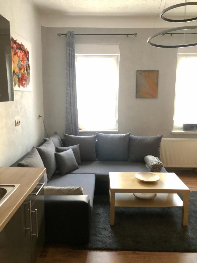 Delux Ferienwohnung Kunstgalerie Und Ilmradweg Kranichfeld Екстер'єр фото