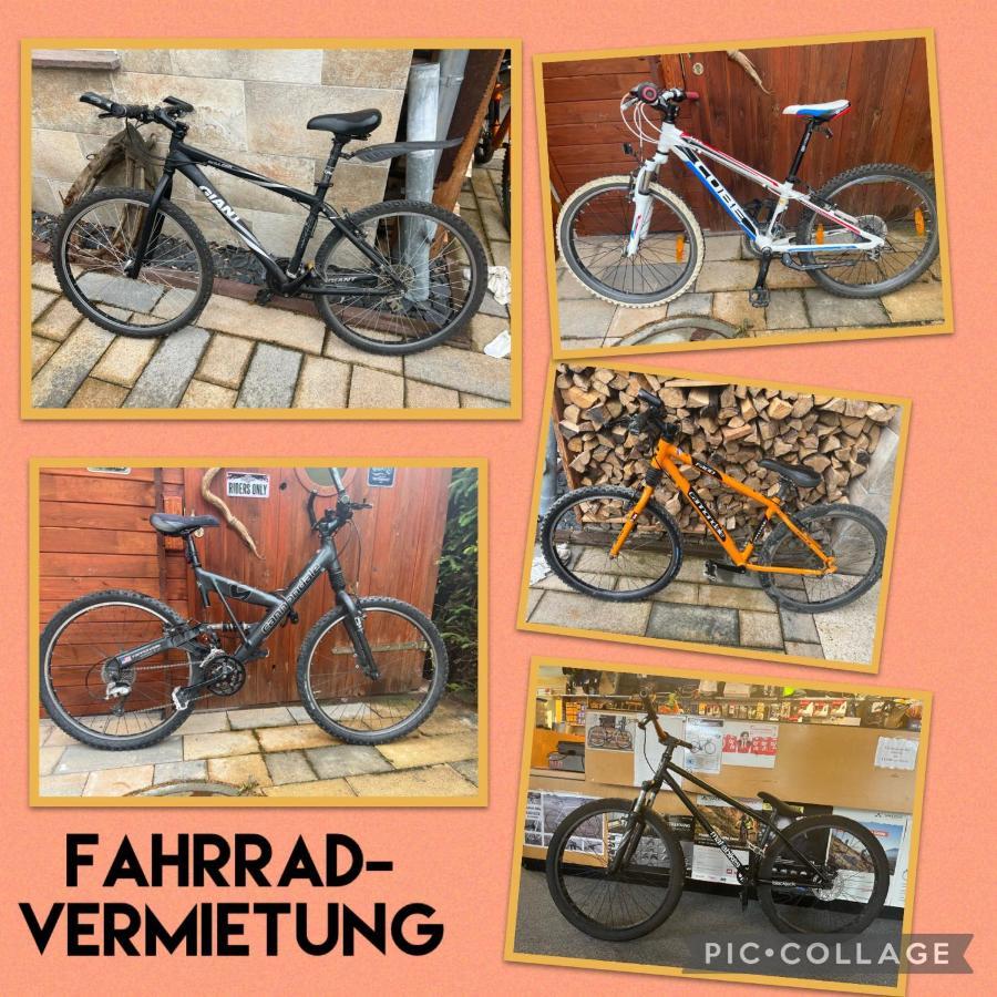 Delux Ferienwohnung Kunstgalerie Und Ilmradweg Kranichfeld Екстер'єр фото