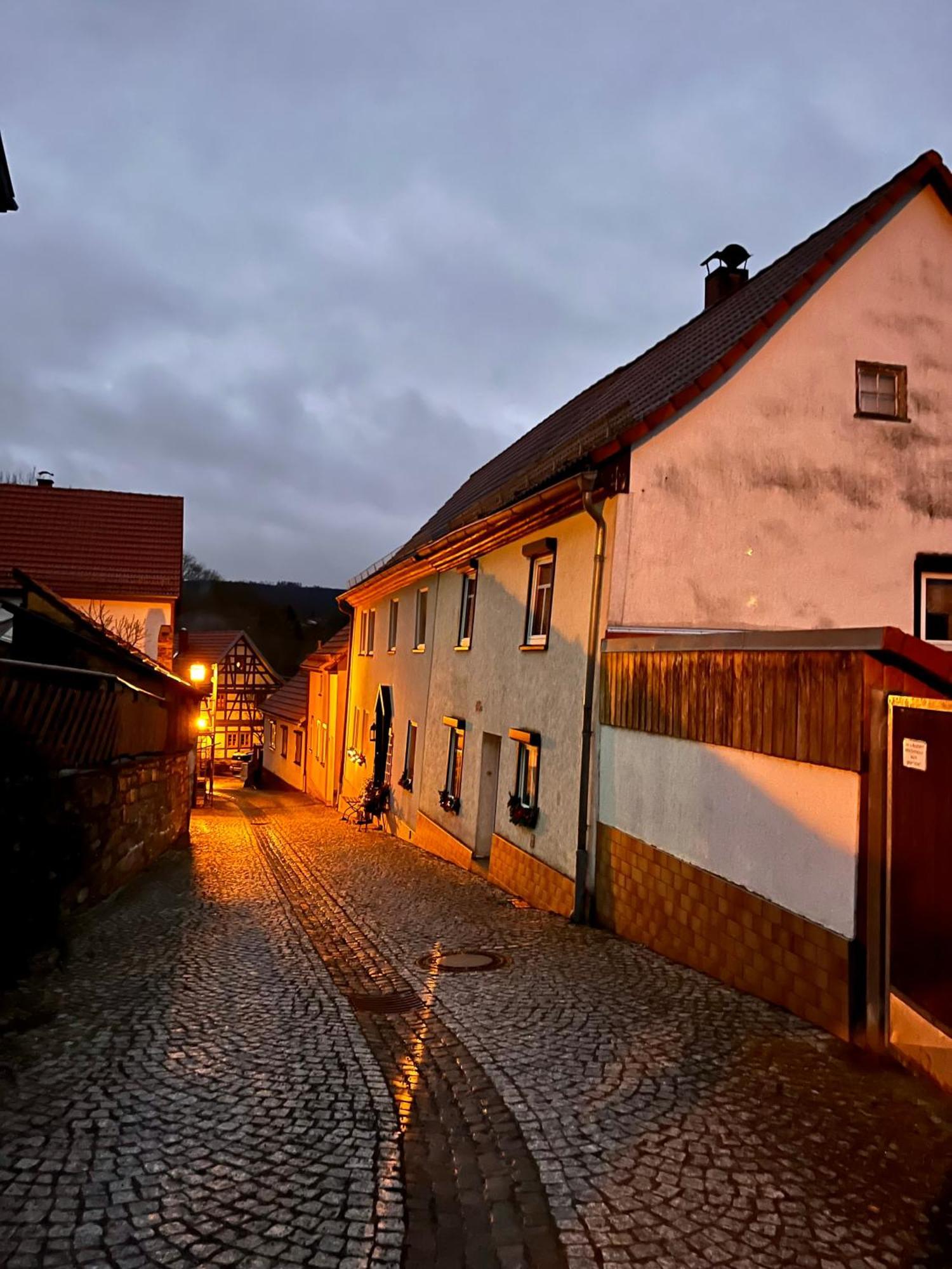 Delux Ferienwohnung Kunstgalerie Und Ilmradweg Kranichfeld Екстер'єр фото
